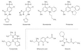 Image result for Loop Diuretic