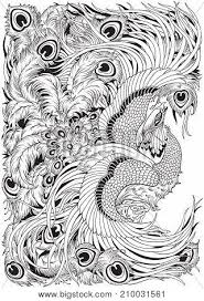 In chinese mythology, the male phoenix is called feng, while the female is called huang. Chinese Phoenix Feng Vector Photo Free Trial Bigstock