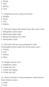 Maybe you would like to learn more about one of these? Kumpulan Soal Pilihan Ganda Ipa Kelas 4 Sd Sesuai K13 Dwi Purwanto