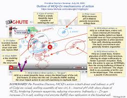 The striking tree (extreme) trial: The Frontline Doctors Put Some Plausible Mechanisms For Hydroxychloroquine On The Table Uncommon Descent
