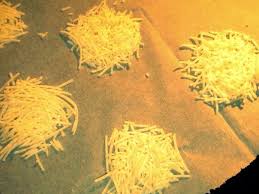Tuiles De Gruyere Recettes Recette Recette Tuiles Recette Apero Ete Recette