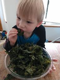 I took that monster Motherland okra leaf and made "kale" chips. Came out  really good!
