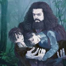 Tomarry 3 I Love Hagrid S Expression Harry Potter Toms Harry Potter Beasts Harry Potter Images