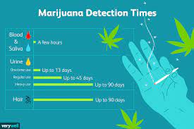 How Long Does Marijuana Stay In Your System