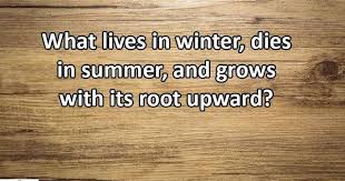 Do You Know The Answer To This Riddle What Lives In Winter Dies In Summer And Grows With Its Root Upward Riddlemetu What Is Life About Riddles Farm Humor
