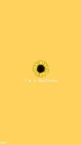 Pin By Olivia On Iphone Backgrounds Yellow Wallpaper Sunflower Wallpaper Colorful Wallpaper
