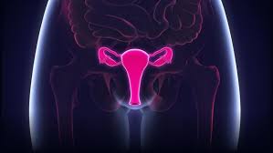 Segera download aplikasi alodokter untuk chat gratis bersama dokter secara personal dengan respon cepat & langsung! Catatan Pemberian Vaksin Hpv Untuk Cegah Kanker Serviks