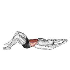 Sollten bei einer der übungen schmerzen auftreten, bitte ich dich die übung abzubrechen! á… Trainingsplan Muskelaufbau Zuhause Ohne Gerate Bilder Videos