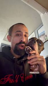 Well, I wasn’t expecting that 😵‍💫😂🤦🏾‍♂️ Stella the chocolate thief  😂😂😂 #reels #itsdogchocolaterelax #viral