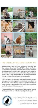 Our supporters from around the world sent in thousands of cat photographs for consideration in our calendar, and these are the entries we featured. 2021 Calendar Greek Cat Welfare Society Uk