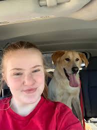 Summer Pet Sitter Available in Northern Colorado