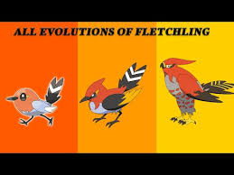 Fletchling Evolution Into Fletchinder And Then Into