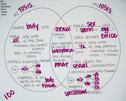 Mitosis and meiosis share some similarities, but the processes have distinct differences as well. 71 Mitosis Meiosis Ideas Mitosis Teaching Biology Biology Classroom