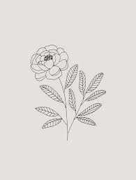 Each garden planner has various tools that will make it easy for you to come up with a plan of action. How To Draw Plants Leaves How To Do Easy