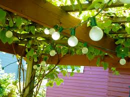 Check spelling or type a new query. Patiozen Using Vines In A Patio Space Outsidemodern