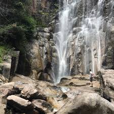 Image result for creel