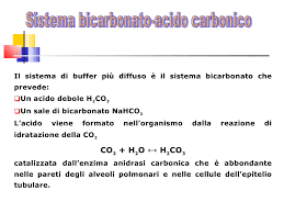 Http Www Centropiaggio Unipi It Sites Default Files Course Material 2014 05 30 20 20lezione 20acido Base 2c 20tampone 202014 Pdf