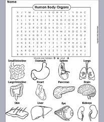 Out of total 78 organs of the body, at least 10 to 15 human body organs are major by size and function, know what are the largest organs (educational all the 78 (plus 2 newly discovered) organs of the body work in sync to form around a dozen organ systems. Human Body Systems Activity Organs Word Search Coloring Sheet By Science Spot