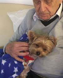 Teddy Yorkshire (@teddy_flores_york) • Instagram photos and videos