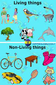 Difference Between Living And Non Living Things Characteristics Of Living Things Rainbow Experiment Be The Creature