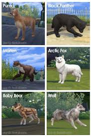 10 years ago on introduction where did you. Sims 4 Cc Pets Ish Sims 4 Pets Sims 4 Sims