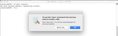 How To Install Java 11 On Mac Tutorials24x7