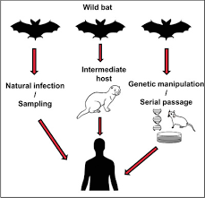 These questions ask you to confront the reasoning behind your answers directly. Ip1wirlysb0kum