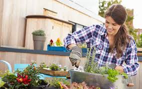 We did not find results for: Gardening While Pregnant David Domoney