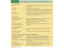 I told them they couldn't eat anything until they went home and told their parents… Photo Album By Darcy Plant And Animal Cells Under The Microscope 1 What Indicators Were Used To Help View Some Organelles Under The Microscope 2 What Ppt Download