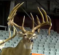 Is This Gagger Monster Buck The New State Record
