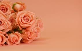 216 30 rose red rose romantic. Download Wallpapers Lilac Roses Beautiful Flowers Bouquet Of Lilac Roses Floral Background Background With Roses Lilac Roses Background For Desktop Free Pictures For Desktop Free