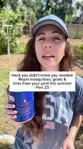 Effective Mosquito Hacks for Florida Summers