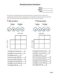 Information presented on this website is the opinion of the individual contributors and does not reflect. Mendelian Genetics Worksheet By Carla S Creations Tpt