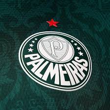 Maybe you would like to learn more about one of these? Camisa Palmeiras I 20 21 S N Torcedor Puma Masculina Verde Allianz Parque Shop