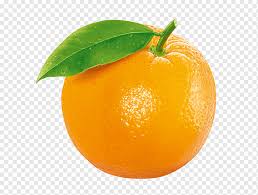 Todos estos titulos recursos se pueden descargar gratis en pngtree. Naranja Naranja Fruta Clipart Naranja Png Pngwing