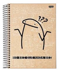 Caderno Espiral Flork Nada Sei 10 Matérias 160 Folhas | MercadoLivre