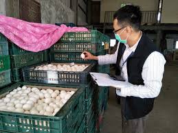 207 juta telur ayam di as ditarik karena terkontaminasi bakteri salmonella. Telur Terkontaminasi Fipronil Kembali Ditemukan Berita Rti Radio Taiwan International