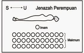 Sebelum melakukan solat jenazah, jenazah perlu diletakkan itu merupakan turutan kedudukan jenazah jika jenazah yang hendak disolatkan ramai dan kedudukan. Tata Cara Sholat Jenazah Perempuan Dan Laki Laki Lengkap Beserta Bacaannya Merdeka Com