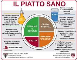 All'interno della cosiddetta piramide alimentare italiana, messa a in questo modo gli esperti ricordano anche l'altro pilastro portante di uno stile di vita salutare: L Evoluzone Dalla Piramide Alimentare Al Piatto Sano Le News Della Dott Ssa Alessandra Petti Biologa Nutrizionista