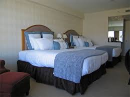 2127 polk st between broadway and vallejo st. What About The Plastic Animals Hotel Beds