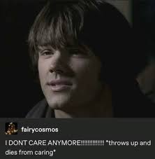 fairycosmos I DONT CARE ANYMORE 山 ............ ー！ • dies from caring*  *throws up and