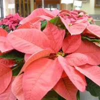 Find the perfect lafayette indiana stock illustrations from getty images. Sharon Hale West Lafayette Indiana United States Professional Profile Linkedin