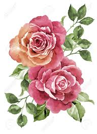 Watercolor Flowers Google Da Ara Flower Illustration Flower Art Watercolor Illustration