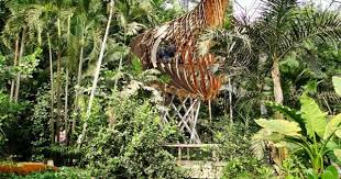 Biodiversity Nest Education Treehouse By Blueforest Tree House Cool Tree Houses Tree House Designs