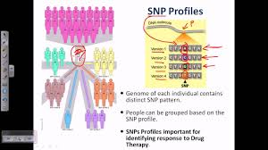 Dna Profiling