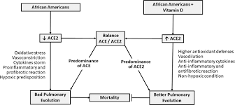 You can prevent several illnesses at once. Vitamin D Deficiency In African Americans Is Associated With A High Risk Of Severe Disease And Mortality By Sars Cov 2 Journal Of Human Hypertension