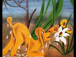 ×ª××¦××ª ×ª××× × ×¢×××¨ ××× ×¤××××