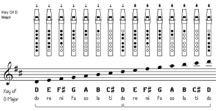 The Tin Whistle Song Book D Whistle Finger Chart