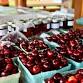 100th National Cherry Festival