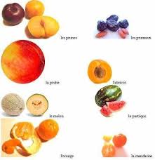 Les Fruits Nourriture Alimentation Fruits Et Legumes